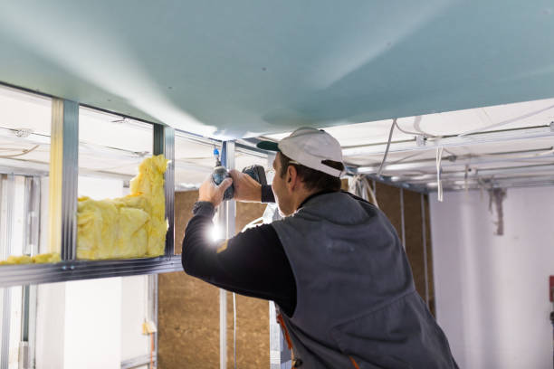 Best Blown-In Insulation  in Arkansas City, KS