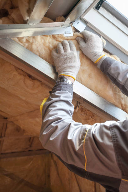 Best Insulation Air Sealing  in Arkansas City, KS